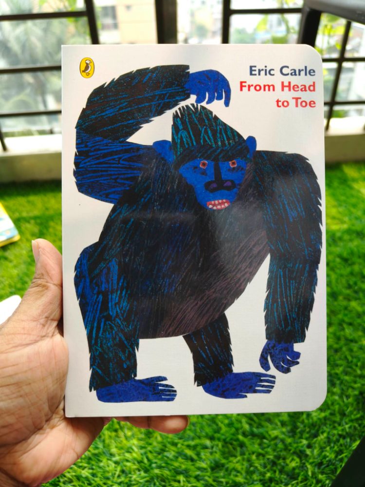 Eric carl- from head to toe
