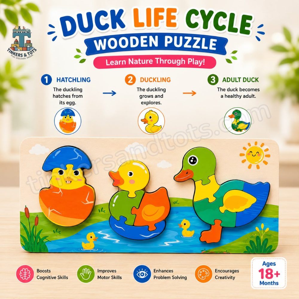 Life cycle puzzle (duck)