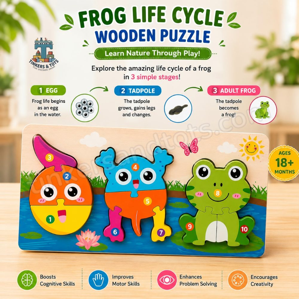 Life cycle puzzle (frog)
