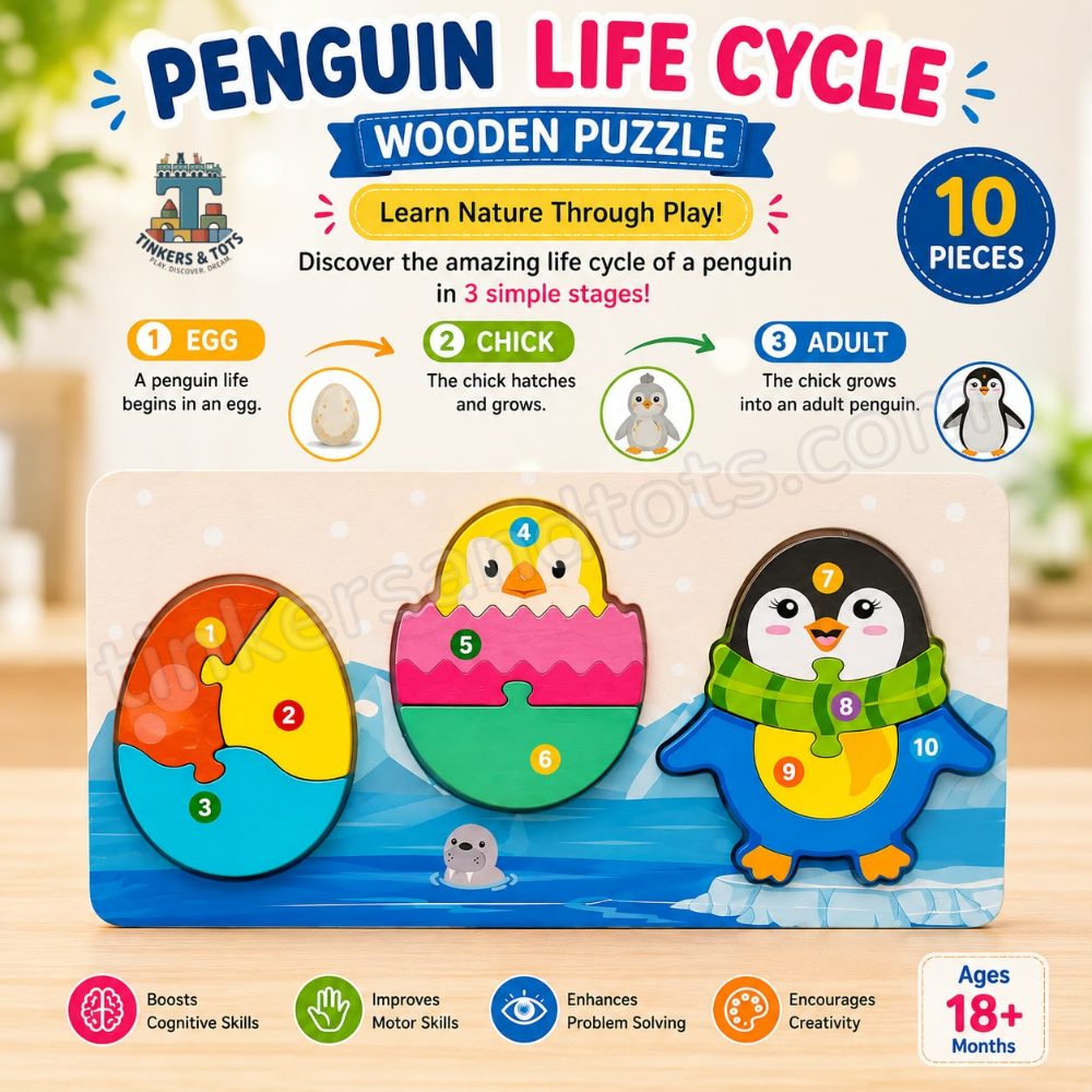 Life cycle puzzle (penguin)